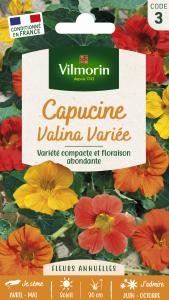 Capucine Valina Variée